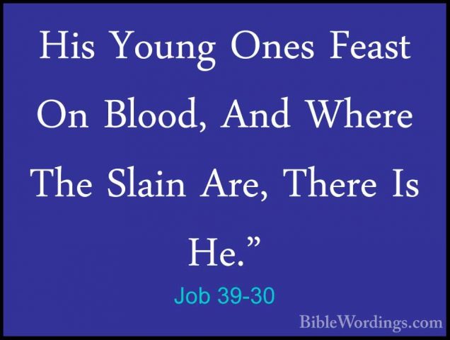 Job 39-30 - His Young Ones Feast On Blood, And Where The Slain ArHis Young Ones Feast On Blood, And Where The Slain Are, There Is He."