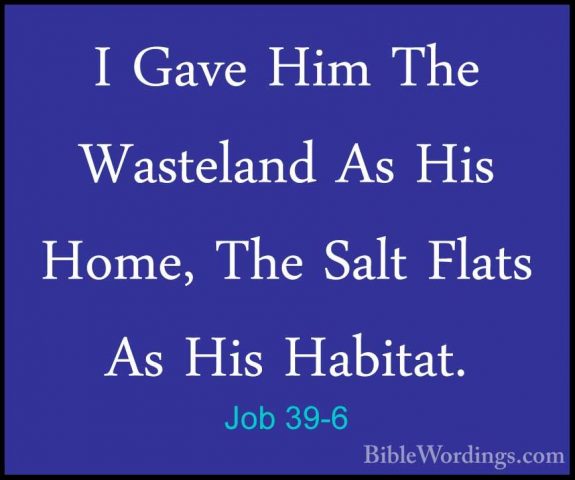 Job 39-6 - I Gave Him The Wasteland As His Home, The Salt Flats AI Gave Him The Wasteland As His Home, The Salt Flats As His Habitat. 