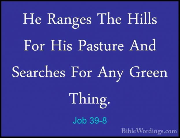Job 39-8 - He Ranges The Hills For His Pasture And Searches For AHe Ranges The Hills For His Pasture And Searches For Any Green Thing. 