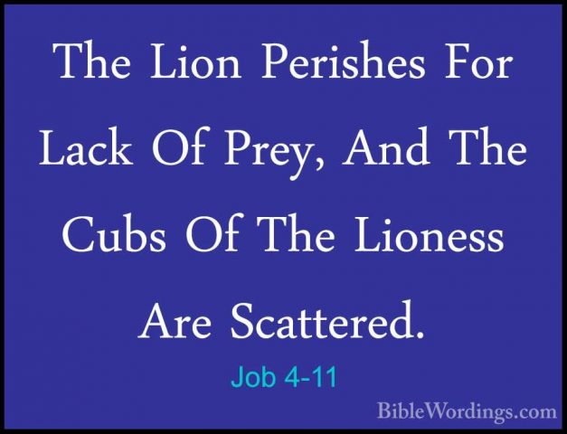Job 4-11 - The Lion Perishes For Lack Of Prey, And The Cubs Of ThThe Lion Perishes For Lack Of Prey, And The Cubs Of The Lioness Are Scattered. 
