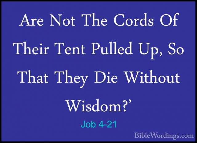Job 4-21 - Are Not The Cords Of Their Tent Pulled Up, So That TheAre Not The Cords Of Their Tent Pulled Up, So That They Die Without Wisdom?'