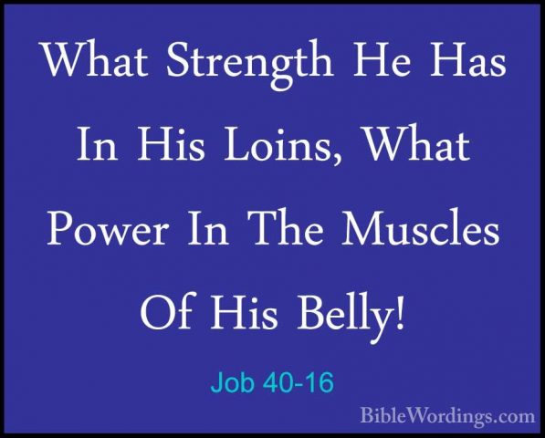 Job 40-16 - What Strength He Has In His Loins, What Power In TheWhat Strength He Has In His Loins, What Power In The Muscles Of His Belly! 