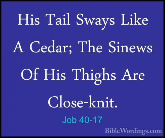 Job 40-17 - His Tail Sways Like A Cedar; The Sinews Of His ThighsHis Tail Sways Like A Cedar; The Sinews Of His Thighs Are Close-knit. 