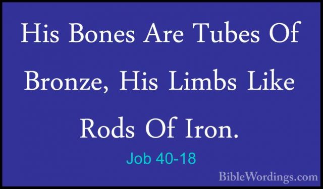 Job 40-18 - His Bones Are Tubes Of Bronze, His Limbs Like Rods OfHis Bones Are Tubes Of Bronze, His Limbs Like Rods Of Iron. 