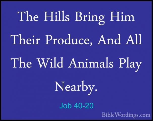 Job 40-20 - The Hills Bring Him Their Produce, And All The Wild AThe Hills Bring Him Their Produce, And All The Wild Animals Play Nearby. 