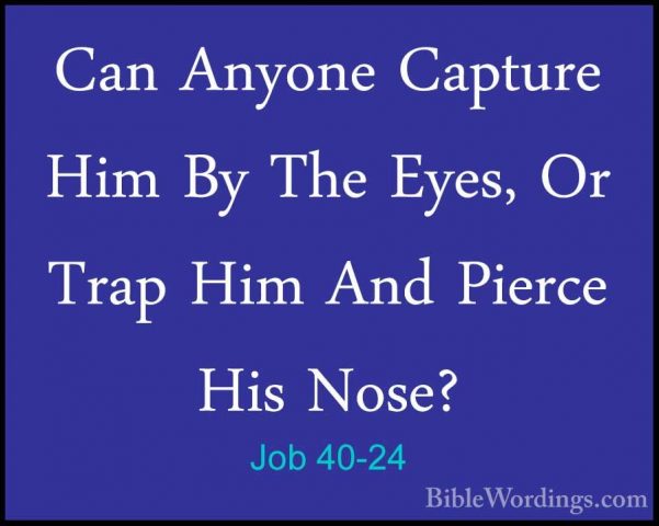 Job 40-24 - Can Anyone Capture Him By The Eyes, Or Trap Him And PCan Anyone Capture Him By The Eyes, Or Trap Him And Pierce His Nose?