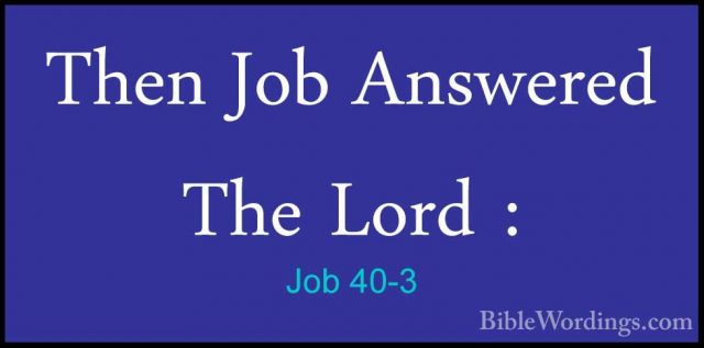 Job 40-3 - Then Job Answered The Lord :Then Job Answered The Lord : 