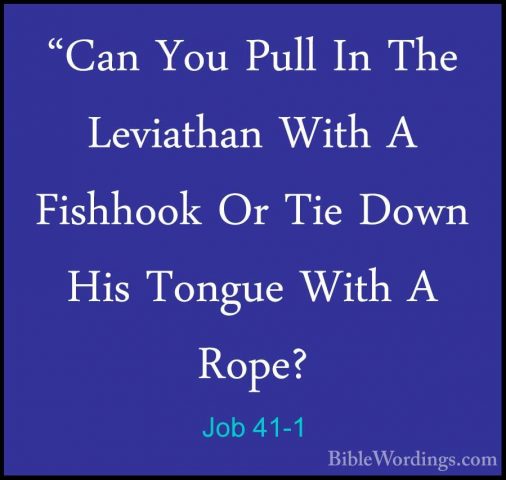Job 41-1 - "Can You Pull In The Leviathan With A Fishhook Or Tie"Can You Pull In The Leviathan With A Fishhook Or Tie Down His Tongue With A Rope? 