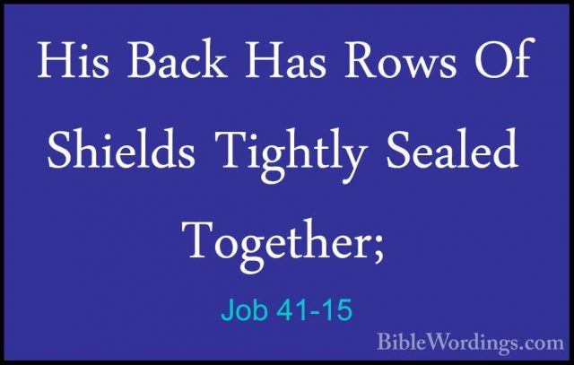 Job 41-15 - His Back Has Rows Of Shields Tightly Sealed Together;His Back Has Rows Of Shields Tightly Sealed Together; 
