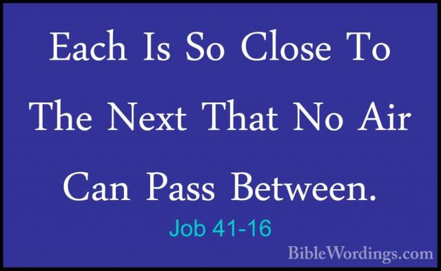 Job 41-16 - Each Is So Close To The Next That No Air Can Pass BetEach Is So Close To The Next That No Air Can Pass Between. 