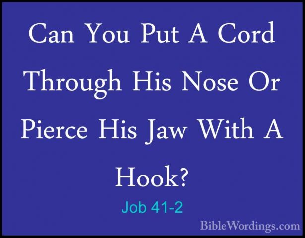 Job 41-2 - Can You Put A Cord Through His Nose Or Pierce His JawCan You Put A Cord Through His Nose Or Pierce His Jaw With A Hook? 