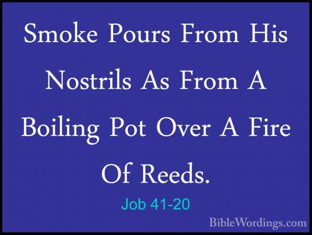 Job 41-20 - Smoke Pours From His Nostrils As From A Boiling Pot OSmoke Pours From His Nostrils As From A Boiling Pot Over A Fire Of Reeds. 