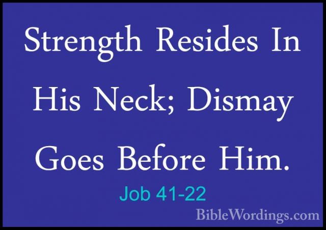 Job 41-22 - Strength Resides In His Neck; Dismay Goes Before Him.Strength Resides In His Neck; Dismay Goes Before Him. 