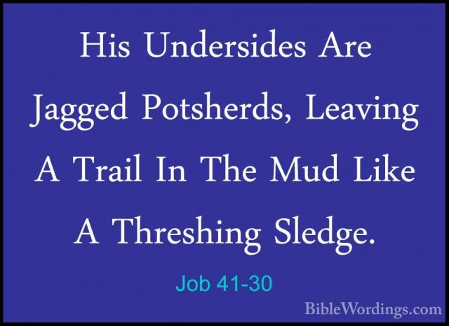 Job 41-30 - His Undersides Are Jagged Potsherds, Leaving A TrailHis Undersides Are Jagged Potsherds, Leaving A Trail In The Mud Like A Threshing Sledge. 
