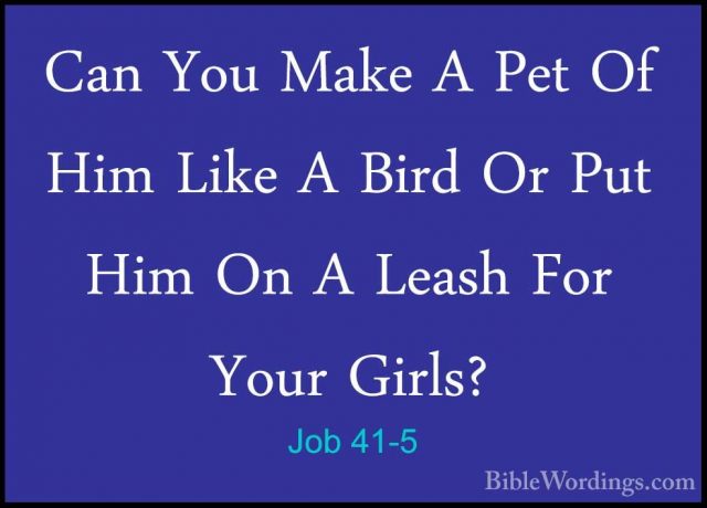 Job 41-5 - Can You Make A Pet Of Him Like A Bird Or Put Him On ACan You Make A Pet Of Him Like A Bird Or Put Him On A Leash For Your Girls? 