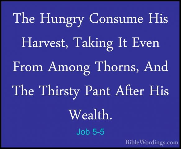 Job 5-5 - The Hungry Consume His Harvest, Taking It Even From AmoThe Hungry Consume His Harvest, Taking It Even From Among Thorns, And The Thirsty Pant After His Wealth. 