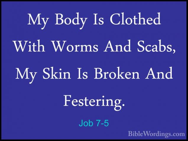 Job 7-5 - My Body Is Clothed With Worms And Scabs, My Skin Is BroMy Body Is Clothed With Worms And Scabs, My Skin Is Broken And Festering. 