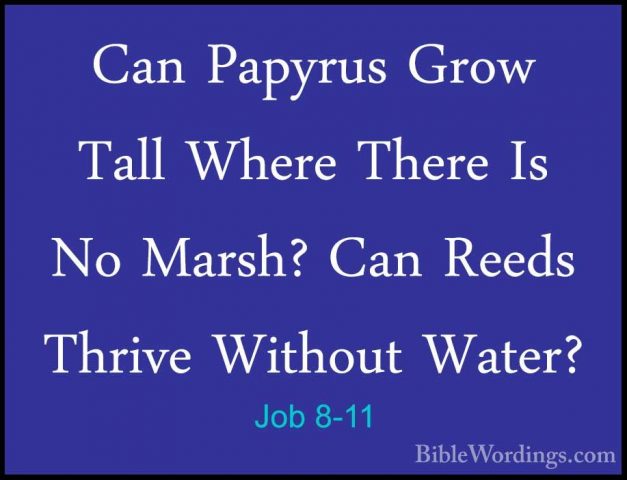 Job 8-11 - Can Papyrus Grow Tall Where There Is No Marsh? Can ReeCan Papyrus Grow Tall Where There Is No Marsh? Can Reeds Thrive Without Water? 