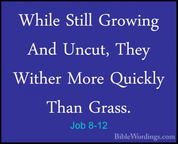 Job 8-12 - While Still Growing And Uncut, They Wither More QuicklWhile Still Growing And Uncut, They Wither More Quickly Than Grass. 