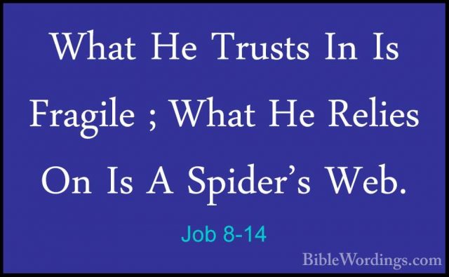 Job 8-14 - What He Trusts In Is Fragile ; What He Relies On Is AWhat He Trusts In Is Fragile ; What He Relies On Is A Spider's Web. 