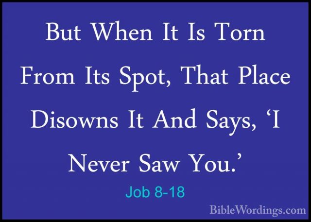 Job 8-18 - But When It Is Torn From Its Spot, That Place DisownsBut When It Is Torn From Its Spot, That Place Disowns It And Says, 'I Never Saw You.' 