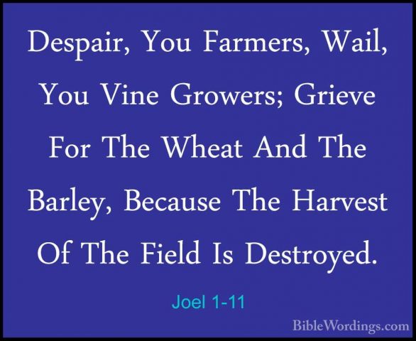 Joel 1-11 - Despair, You Farmers, Wail, You Vine Growers; GrieveDespair, You Farmers, Wail, You Vine Growers; Grieve For The Wheat And The Barley, Because The Harvest Of The Field Is Destroyed. 