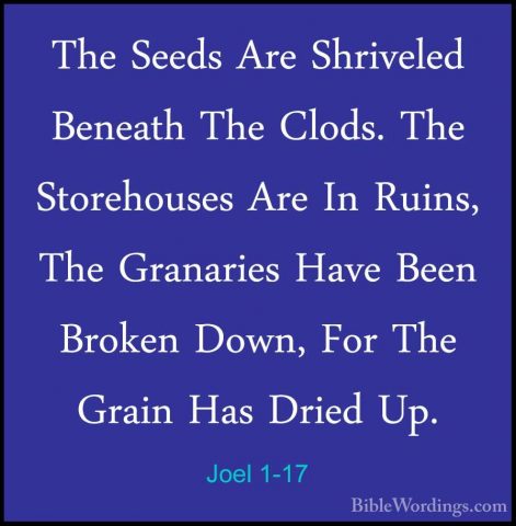 Joel 1-17 - The Seeds Are Shriveled Beneath The Clods. The StorehThe Seeds Are Shriveled Beneath The Clods. The Storehouses Are In Ruins, The Granaries Have Been Broken Down, For The Grain Has Dried Up. 
