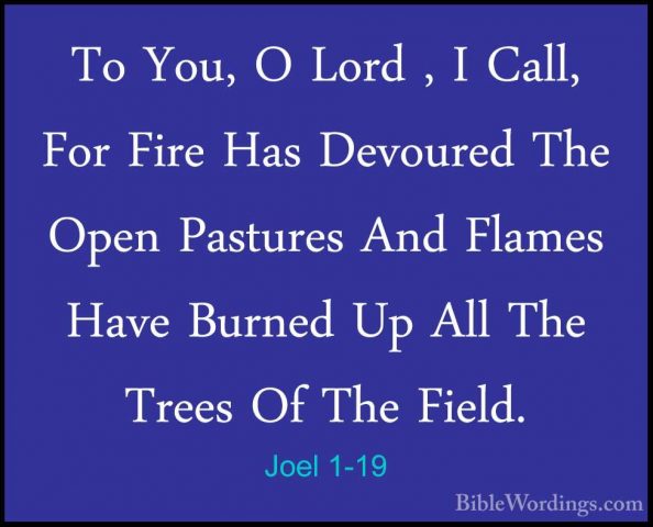 Joel 1-19 - To You, O Lord , I Call, For Fire Has Devoured The OpTo You, O Lord , I Call, For Fire Has Devoured The Open Pastures And Flames Have Burned Up All The Trees Of The Field. 