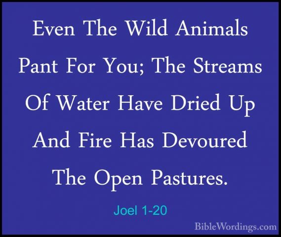 Joel 1-20 - Even The Wild Animals Pant For You; The Streams Of WaEven The Wild Animals Pant For You; The Streams Of Water Have Dried Up And Fire Has Devoured The Open Pastures.