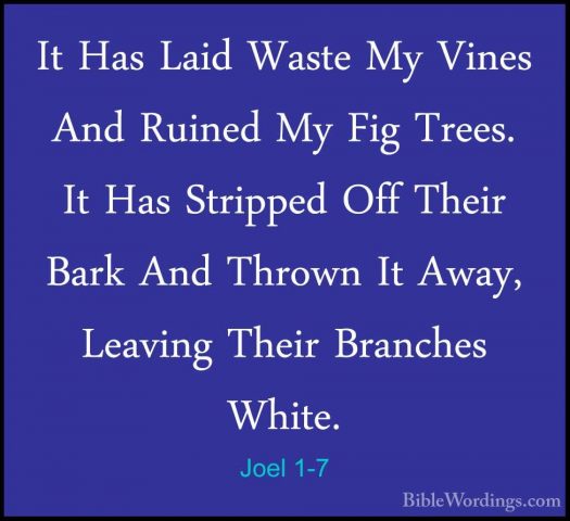 Joel 1-7 - It Has Laid Waste My Vines And Ruined My Fig Trees. ItIt Has Laid Waste My Vines And Ruined My Fig Trees. It Has Stripped Off Their Bark And Thrown It Away, Leaving Their Branches White. 