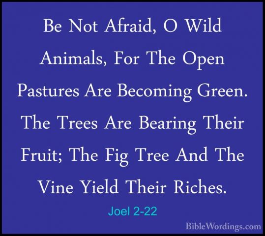 Joel 2-22 - Be Not Afraid, O Wild Animals, For The Open PasturesBe Not Afraid, O Wild Animals, For The Open Pastures Are Becoming Green. The Trees Are Bearing Their Fruit; The Fig Tree And The Vine Yield Their Riches. 