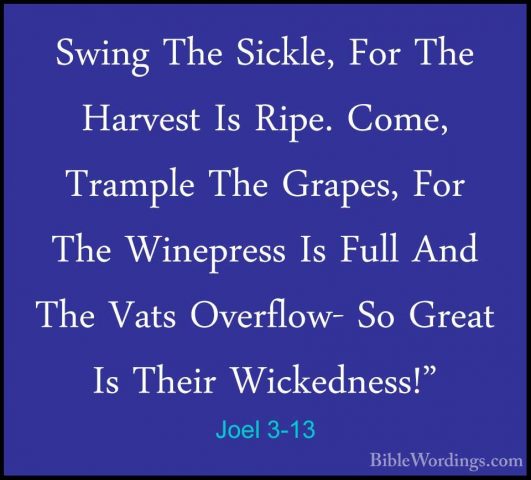 Joel 3-13 - Swing The Sickle, For The Harvest Is Ripe. Come, TramSwing The Sickle, For The Harvest Is Ripe. Come, Trample The Grapes, For The Winepress Is Full And The Vats Overflow- So Great Is Their Wickedness!" 