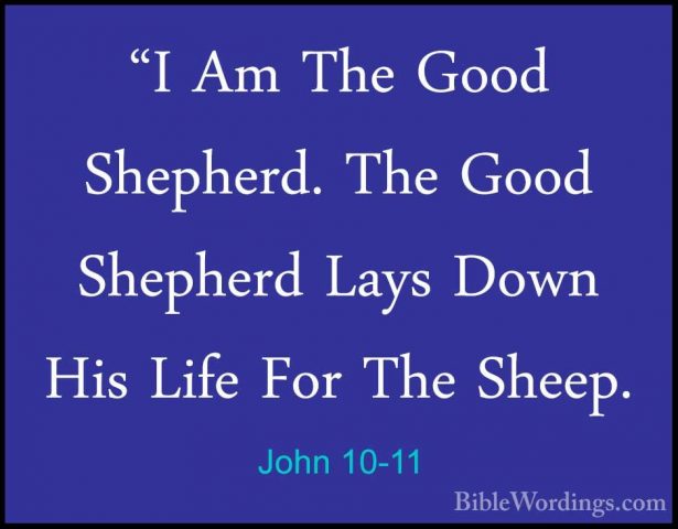 John 10-11 - "I Am The Good Shepherd. The Good Shepherd Lays Down"I Am The Good Shepherd. The Good Shepherd Lays Down His Life For The Sheep. 