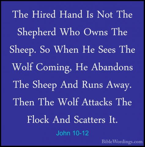 John 10-12 - The Hired Hand Is Not The Shepherd Who Owns The SheeThe Hired Hand Is Not The Shepherd Who Owns The Sheep. So When He Sees The Wolf Coming, He Abandons The Sheep And Runs Away. Then The Wolf Attacks The Flock And Scatters It. 