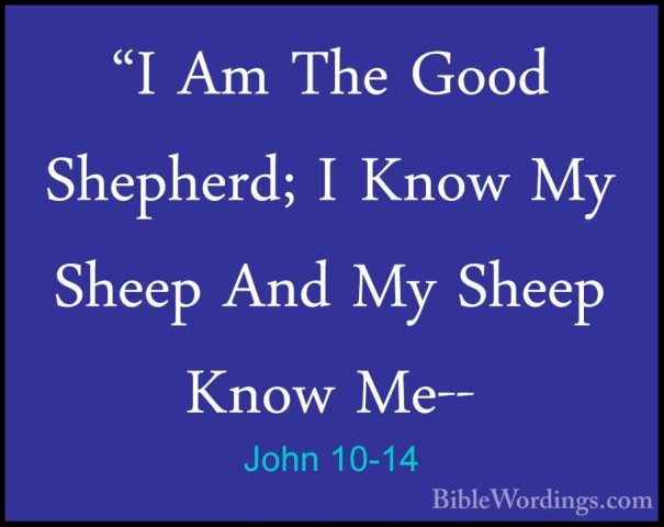 John 10-14 - "I Am The Good Shepherd; I Know My Sheep And My Shee"I Am The Good Shepherd; I Know My Sheep And My Sheep Know Me-- 