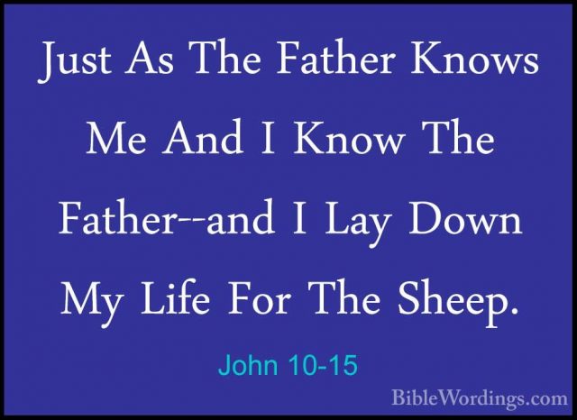 John 10-15 - Just As The Father Knows Me And I Know The Father--aJust As The Father Knows Me And I Know The Father--and I Lay Down My Life For The Sheep. 