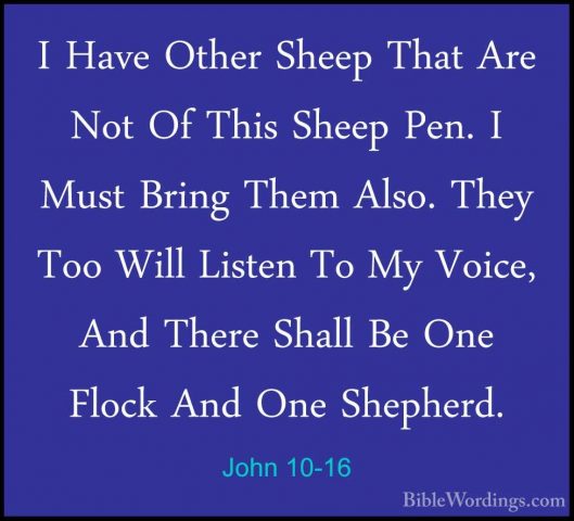 John 10-16 - I Have Other Sheep That Are Not Of This Sheep Pen. II Have Other Sheep That Are Not Of This Sheep Pen. I Must Bring Them Also. They Too Will Listen To My Voice, And There Shall Be One Flock And One Shepherd. 