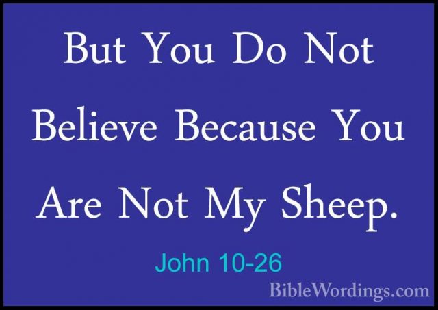 John 10-26 - But You Do Not Believe Because You Are Not My Sheep.But You Do Not Believe Because You Are Not My Sheep. 