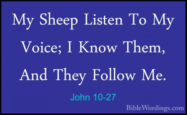 John 10-27 - My Sheep Listen To My Voice; I Know Them, And They FMy Sheep Listen To My Voice; I Know Them, And They Follow Me. 