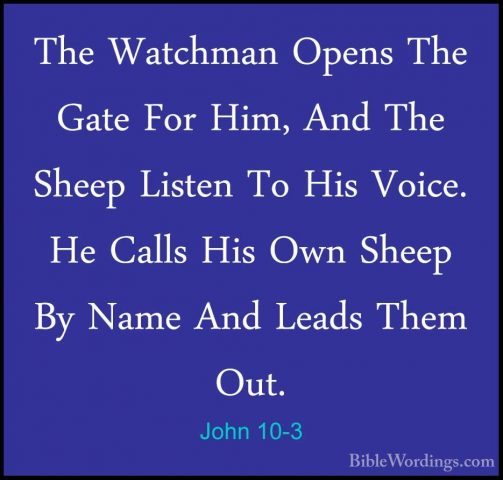 John 10-3 - The Watchman Opens The Gate For Him, And The Sheep LiThe Watchman Opens The Gate For Him, And The Sheep Listen To His Voice. He Calls His Own Sheep By Name And Leads Them Out. 