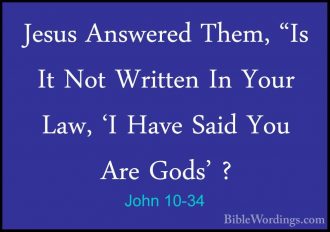 John 10 - Holy Bible English - BibleWordings.com