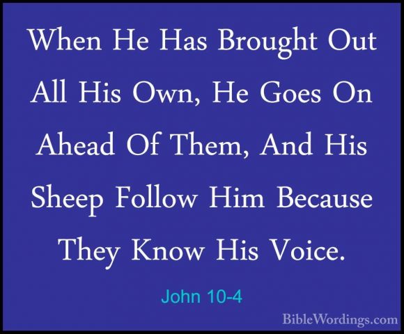 John 10-4 - When He Has Brought Out All His Own, He Goes On AheadWhen He Has Brought Out All His Own, He Goes On Ahead Of Them, And His Sheep Follow Him Because They Know His Voice. 