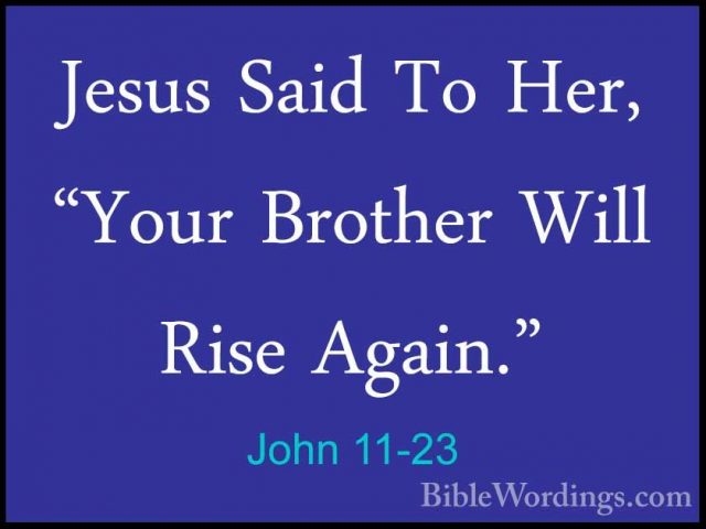 John 11-23 - Jesus Said To Her, "Your Brother Will Rise Again."Jesus Said To Her, "Your Brother Will Rise Again." 