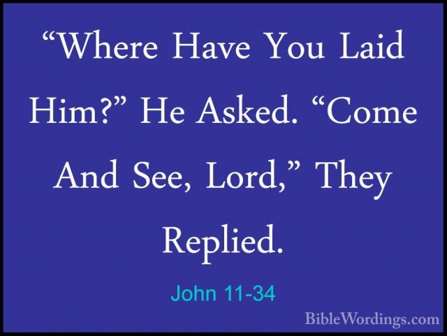 John 11 - Holy Bible English - BibleWordings.com