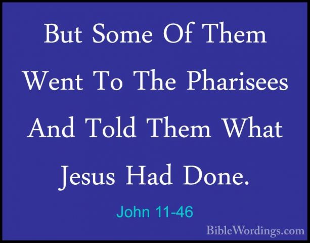 John 11-46 - But Some Of Them Went To The Pharisees And Told ThemBut Some Of Them Went To The Pharisees And Told Them What Jesus Had Done. 