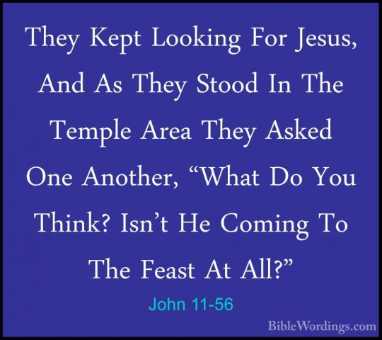 John 11-56 - They Kept Looking For Jesus, And As They Stood In ThThey Kept Looking For Jesus, And As They Stood In The Temple Area They Asked One Another, "What Do You Think? Isn't He Coming To The Feast At All?" 