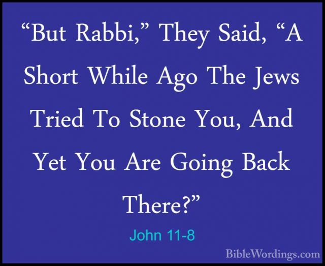 John 11 - Holy Bible English - BibleWordings.com