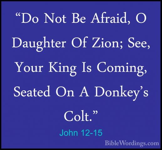 John 12-15 - "Do Not Be Afraid, O Daughter Of Zion; See, Your Kin"Do Not Be Afraid, O Daughter Of Zion; See, Your King Is Coming, Seated On A Donkey's Colt." 