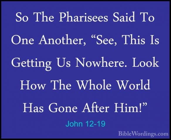 John 12-19 - So The Pharisees Said To One Another, "See, This IsSo The Pharisees Said To One Another, "See, This Is Getting Us Nowhere. Look How The Whole World Has Gone After Him!" 