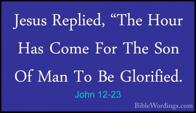 John 12-23 - Jesus Replied, "The Hour Has Come For The Son Of ManJesus Replied, "The Hour Has Come For The Son Of Man To Be Glorified. 